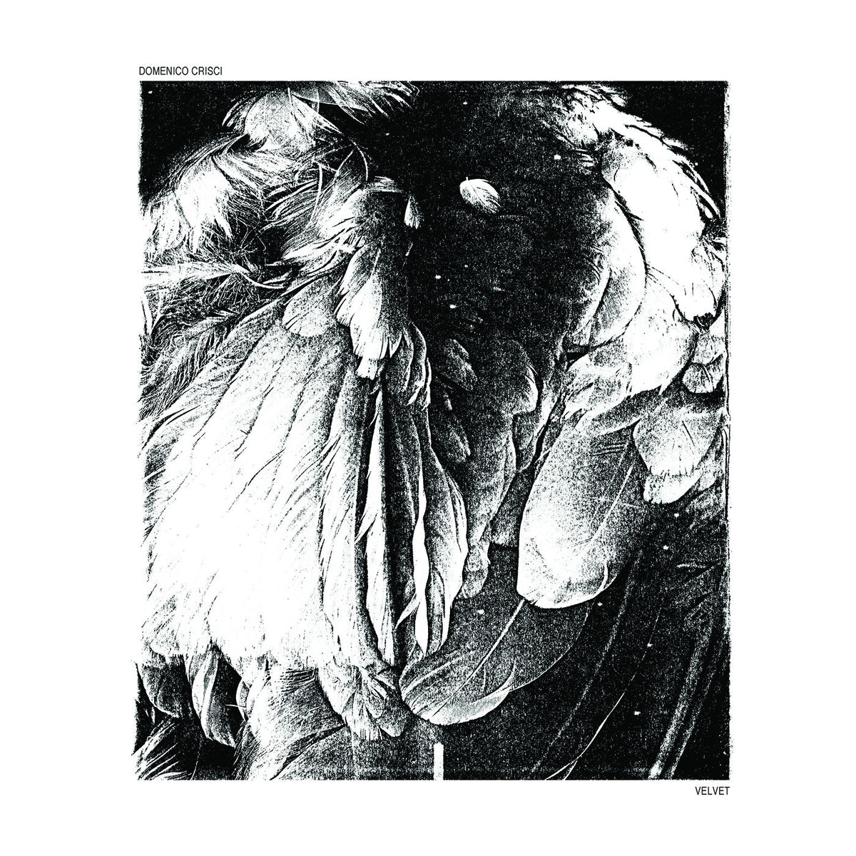 Domenico Crisci – Velvet vinyl cover