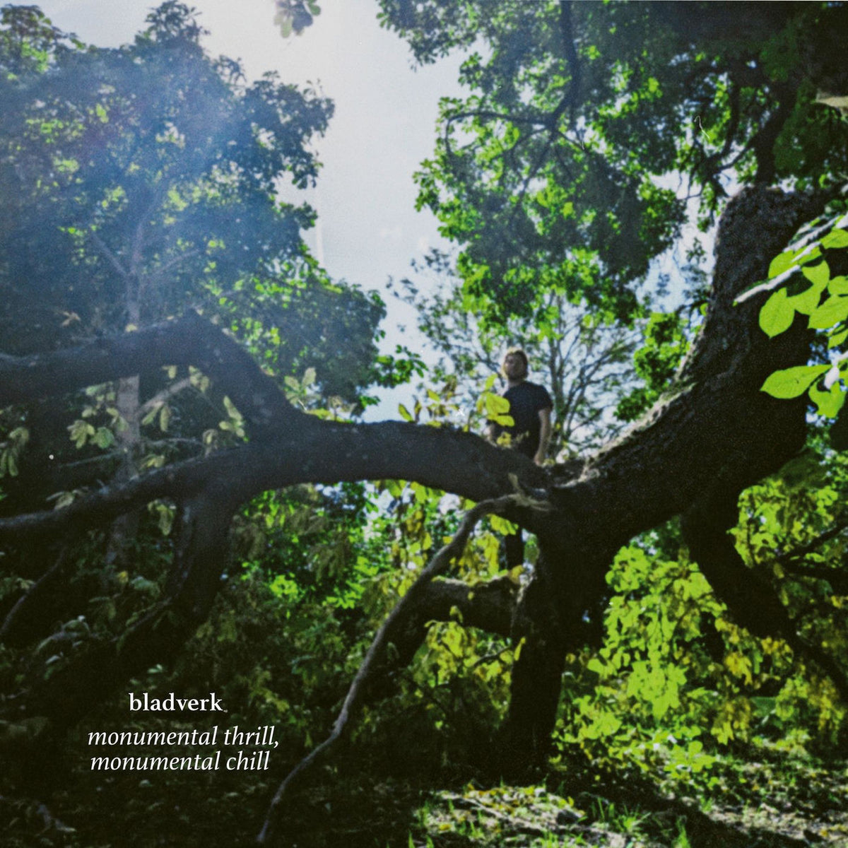 Bladverk – Monumental Thrill, Monumental Chill vinyl record cover