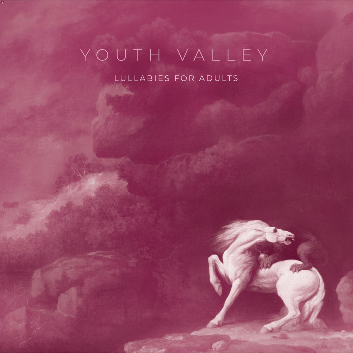 Youth Valley – Lullabies For Adults vinyl record cover