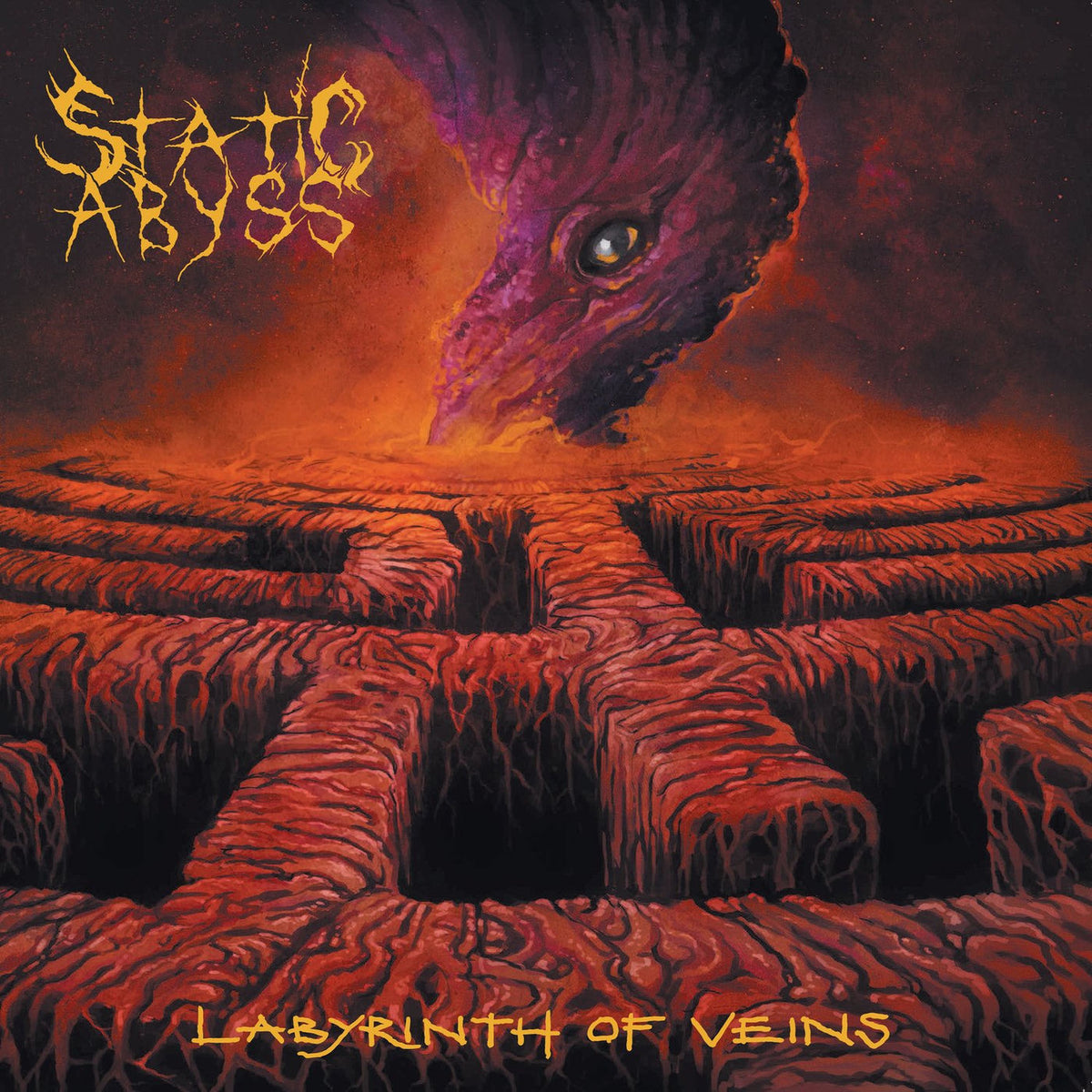 Static Abyss – Labyrinth of Veins vinyl record cover