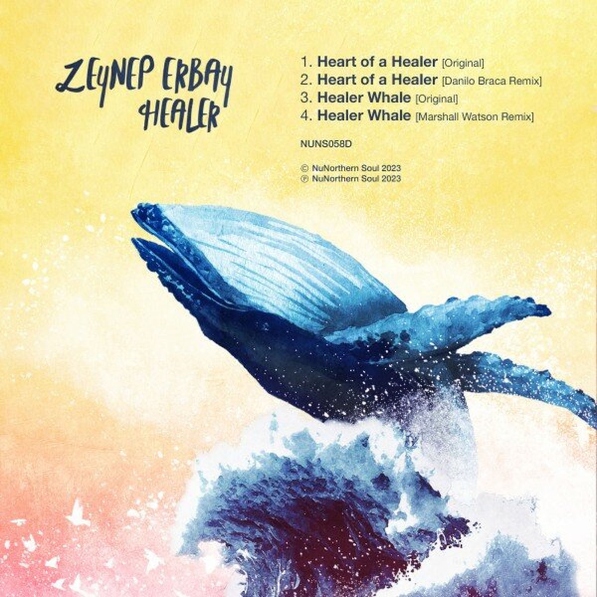 Zeynep Erbay – Healer vinyl cover
