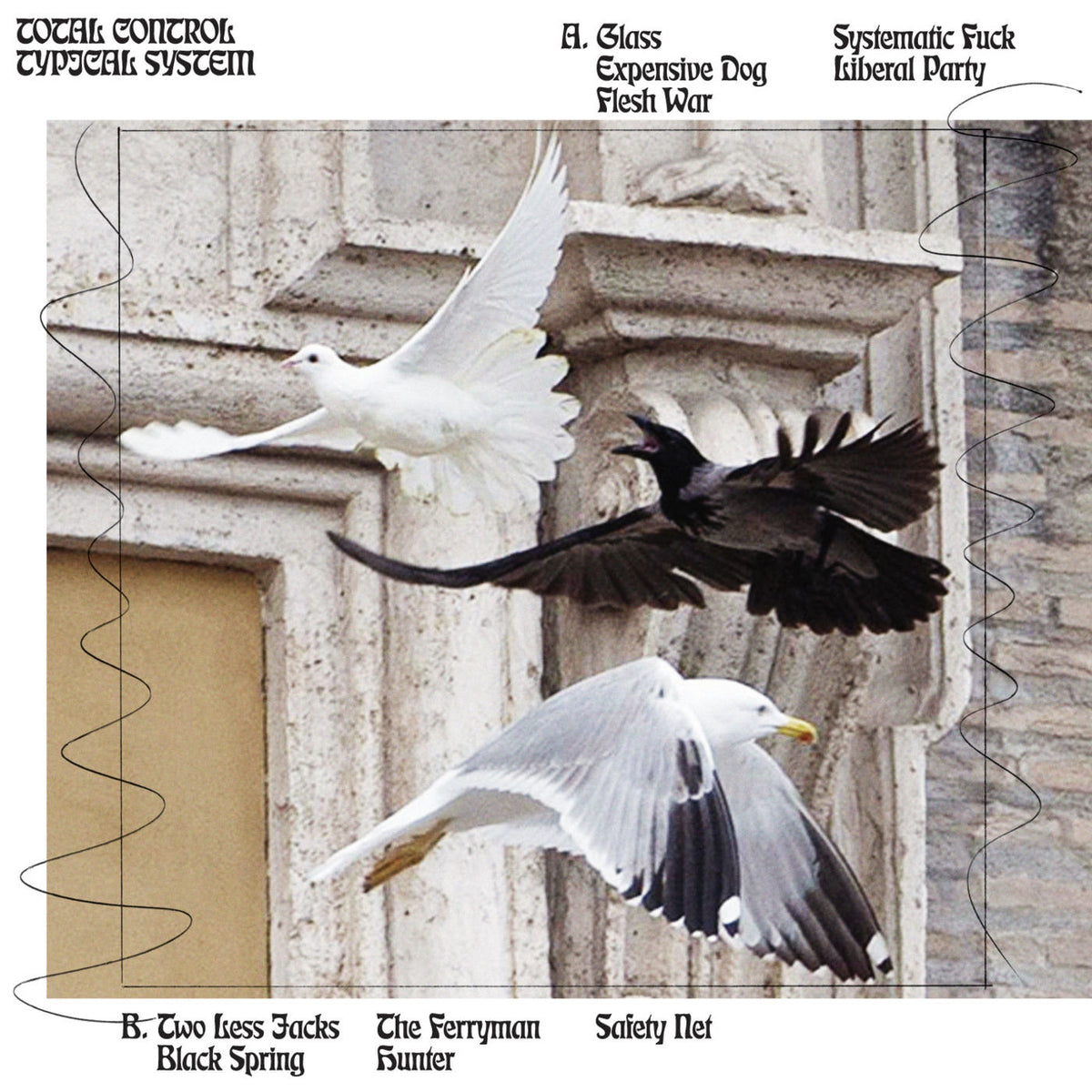 Total Control – Typical System vinyl record cover
