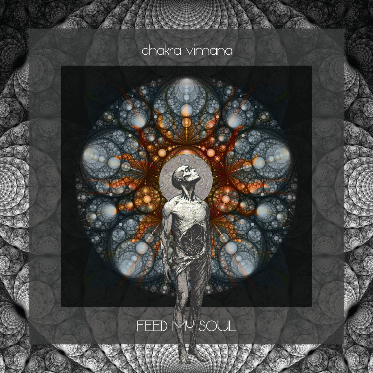 Chakra Vimana – Feed My Soul vinyl record cover