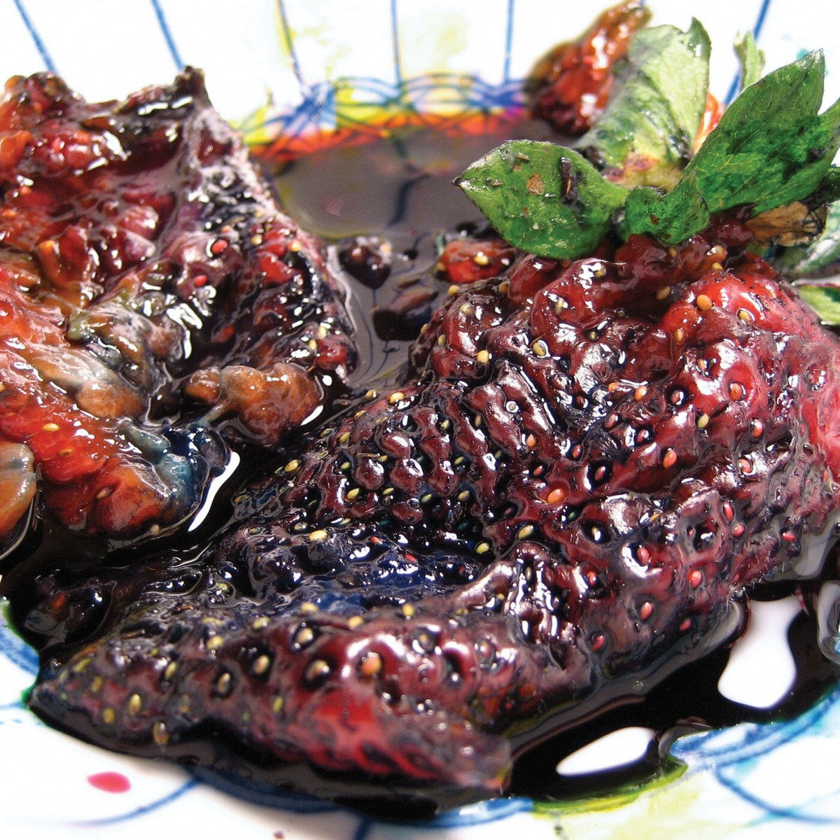 Animal Collective – Strawberry Jam vinyl record cover