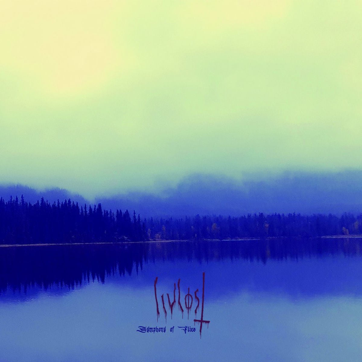 Livlost – Symphony Of Flies vinyl record cover