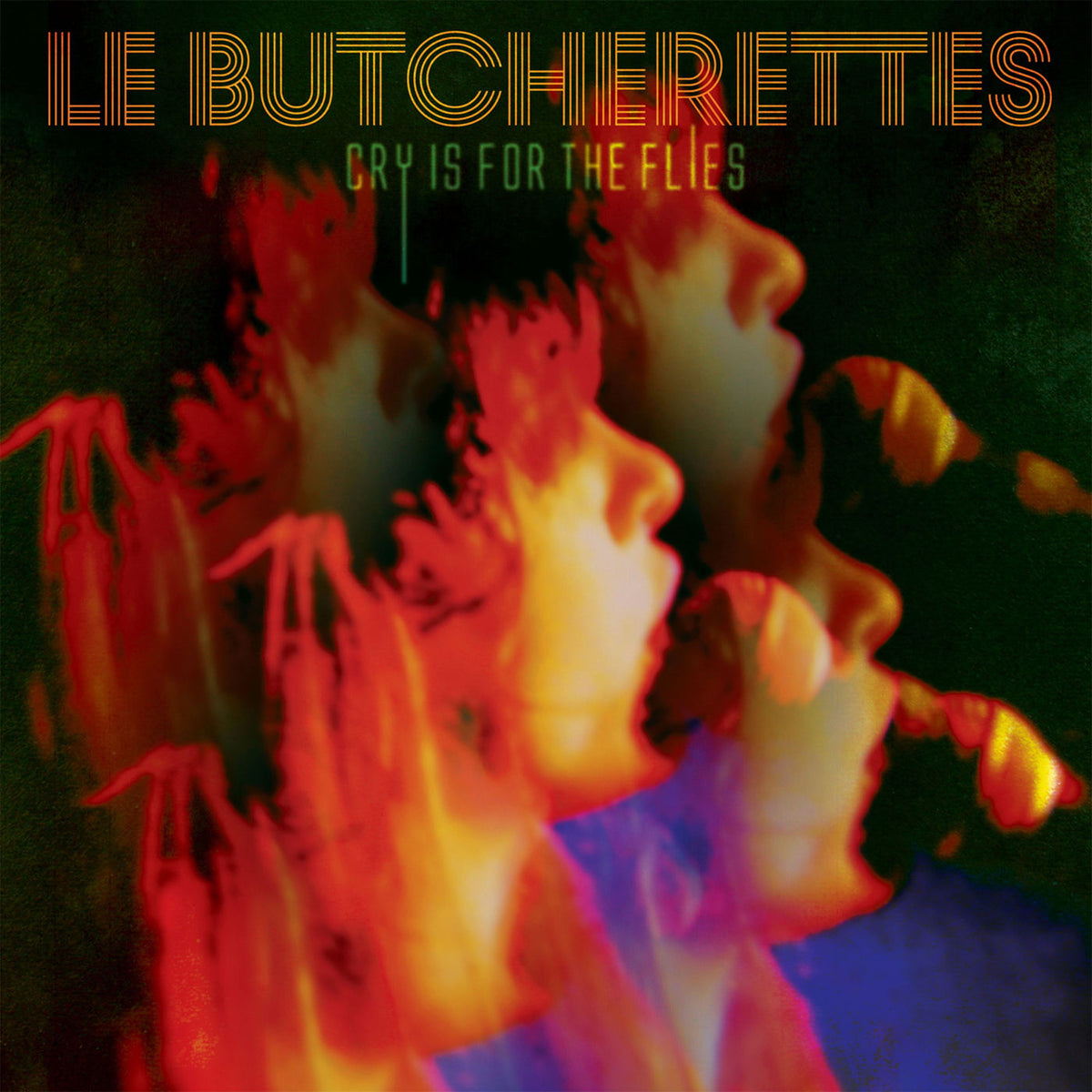 Le Butcherettes – Cry Is for the Flies vinyl cover