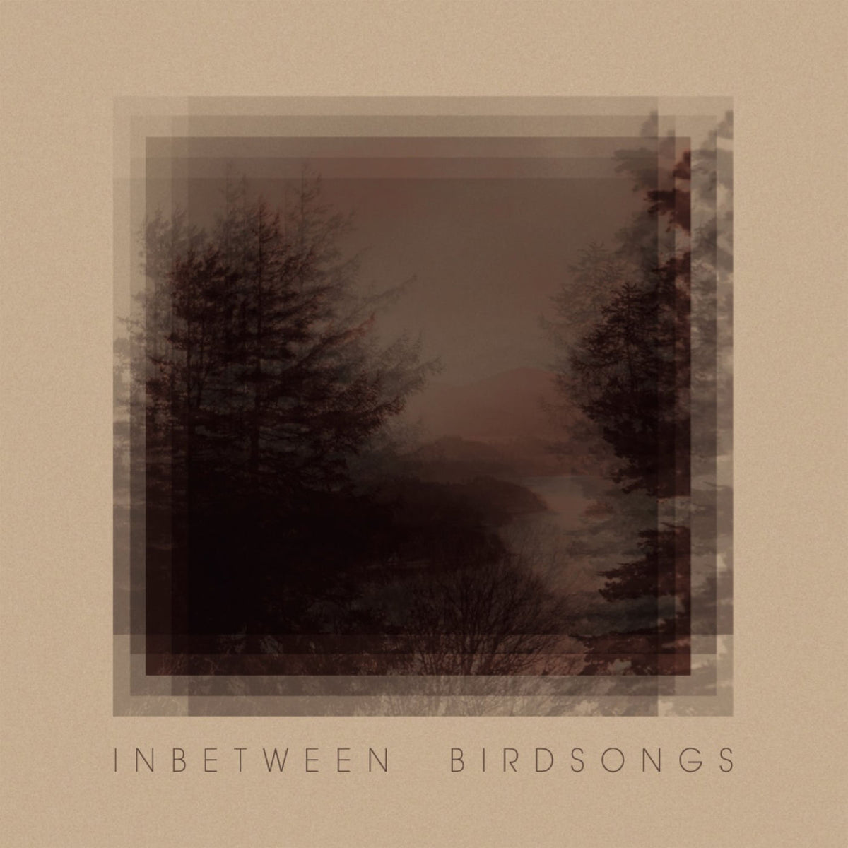 Matthias Gusset – Inbetween Birdsongs vinyl cover