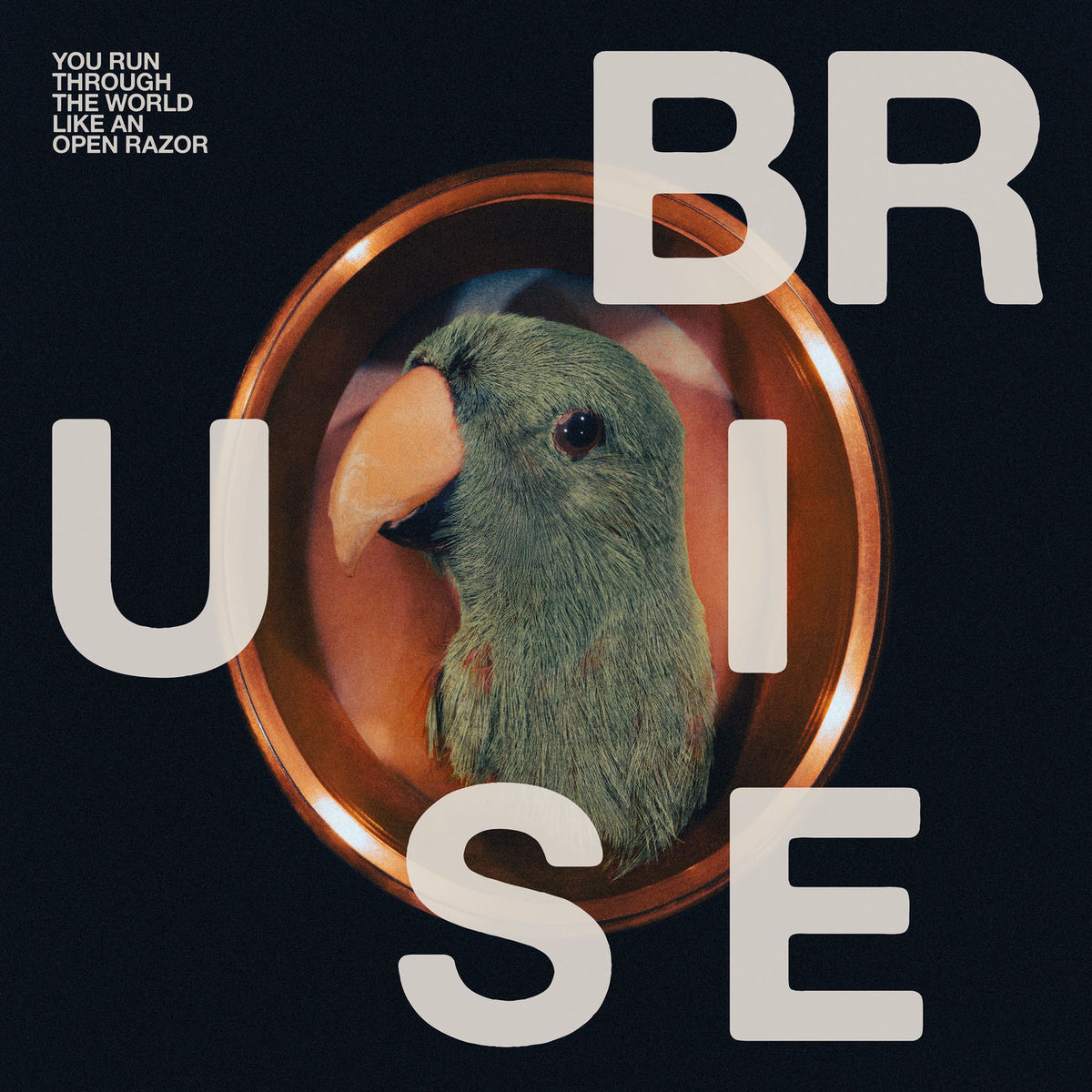 Bruise Blood – You Run Through the World Like an Open Razor vinyl record cover