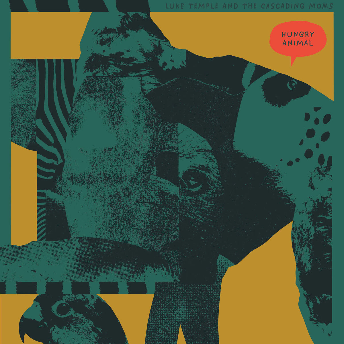 Luke Temple – Hungry Animal vinyl record cover