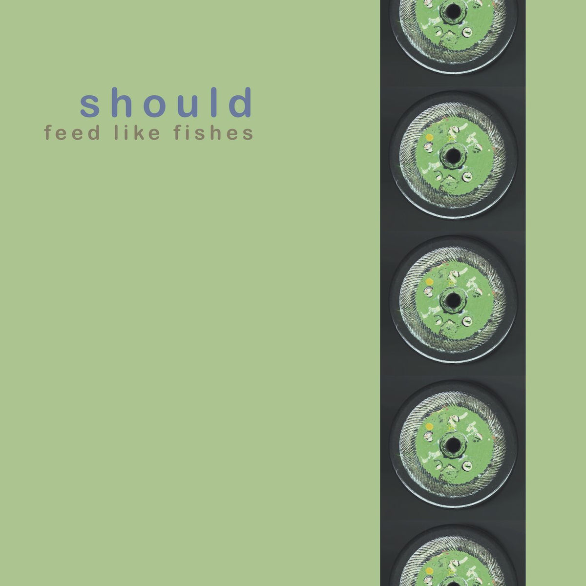 Should – Feed like fishes vinyl record cover