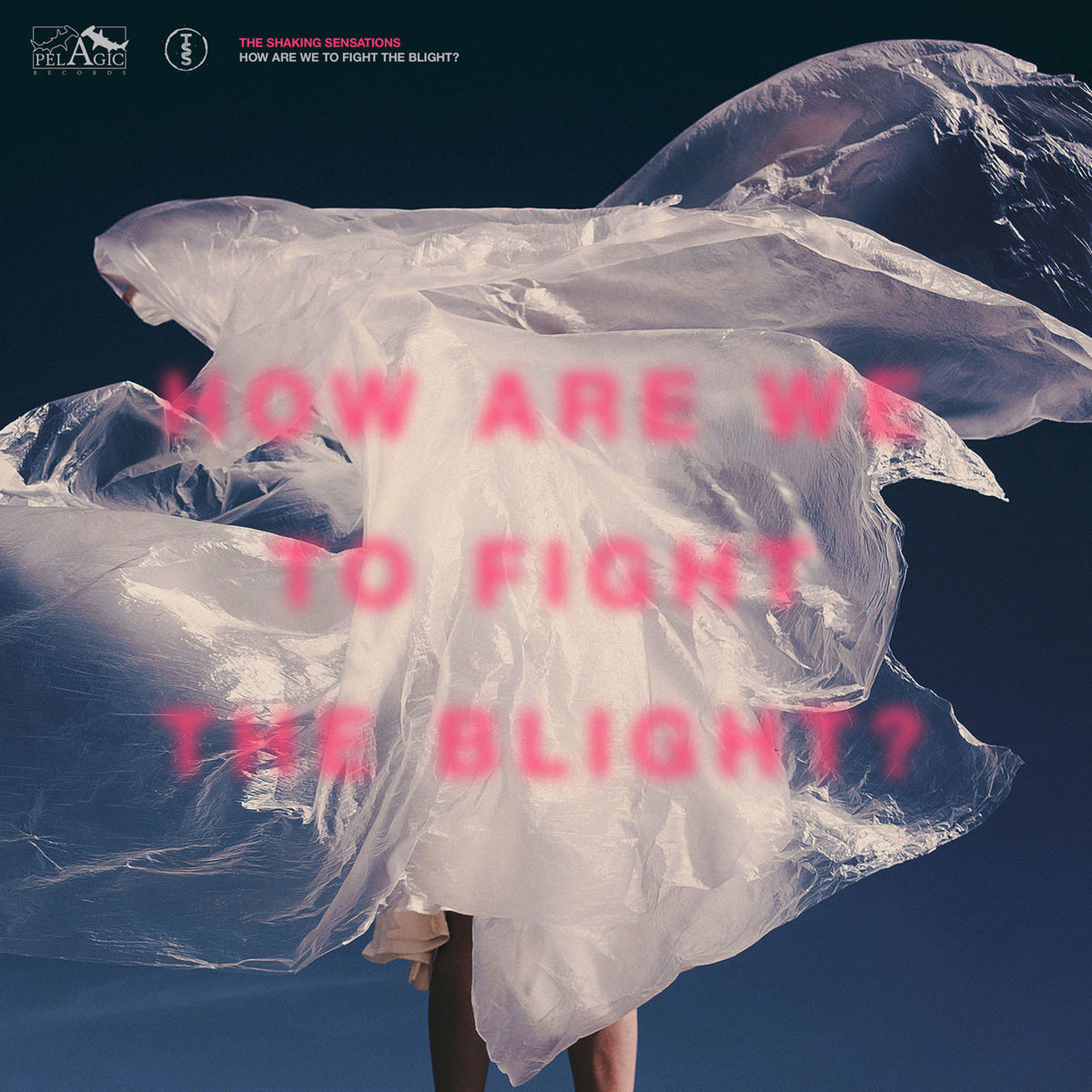 The Shaking Sensations – How Are We to Fight the Blight? vinyl record cover