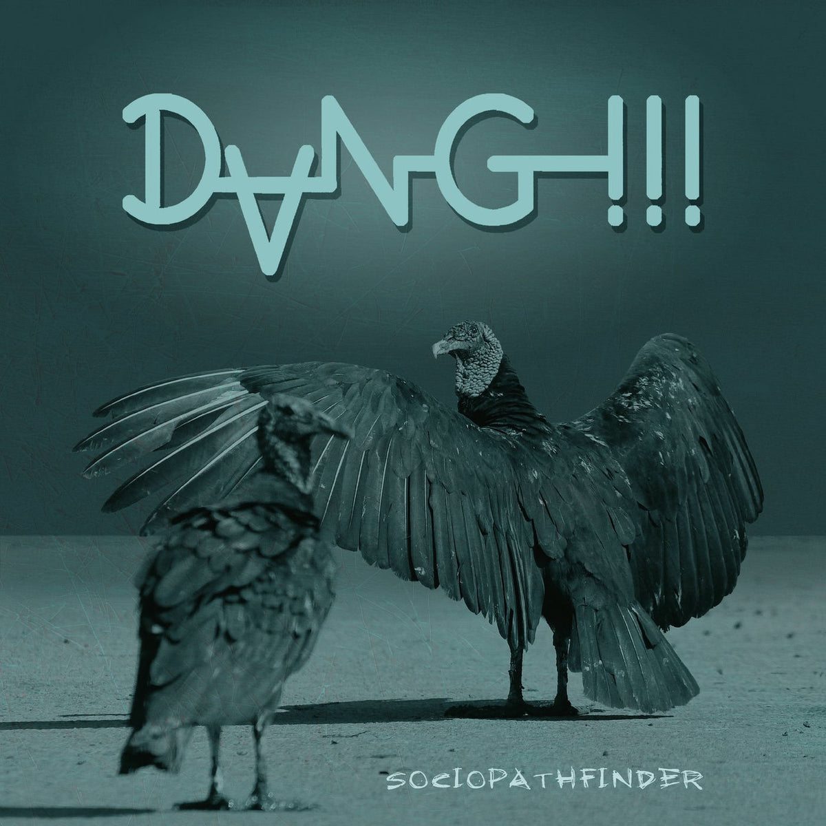 Dang!!! – Sociopathfinder vinyl record cover