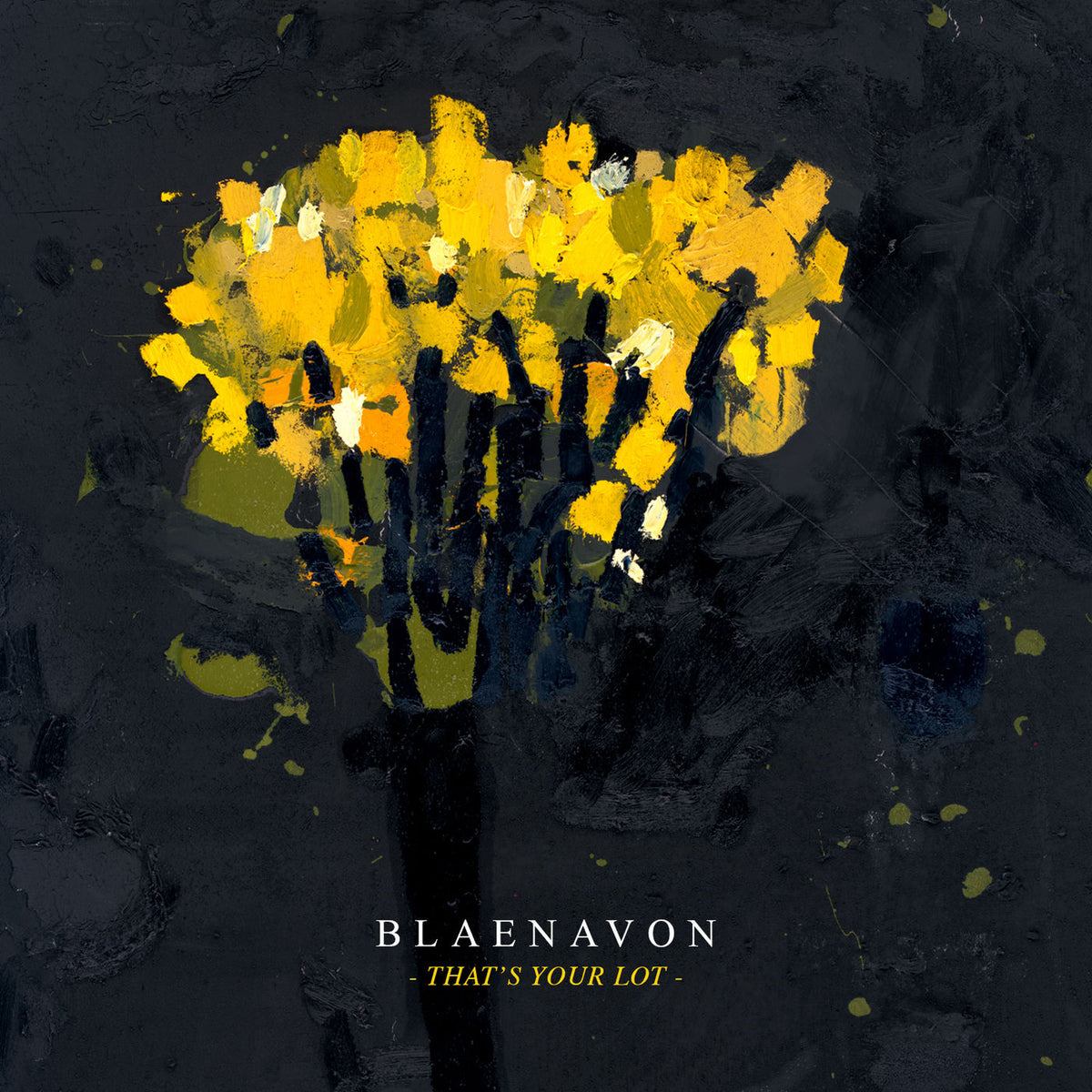 Blaenavon – That's Your Lot vinyl record cover