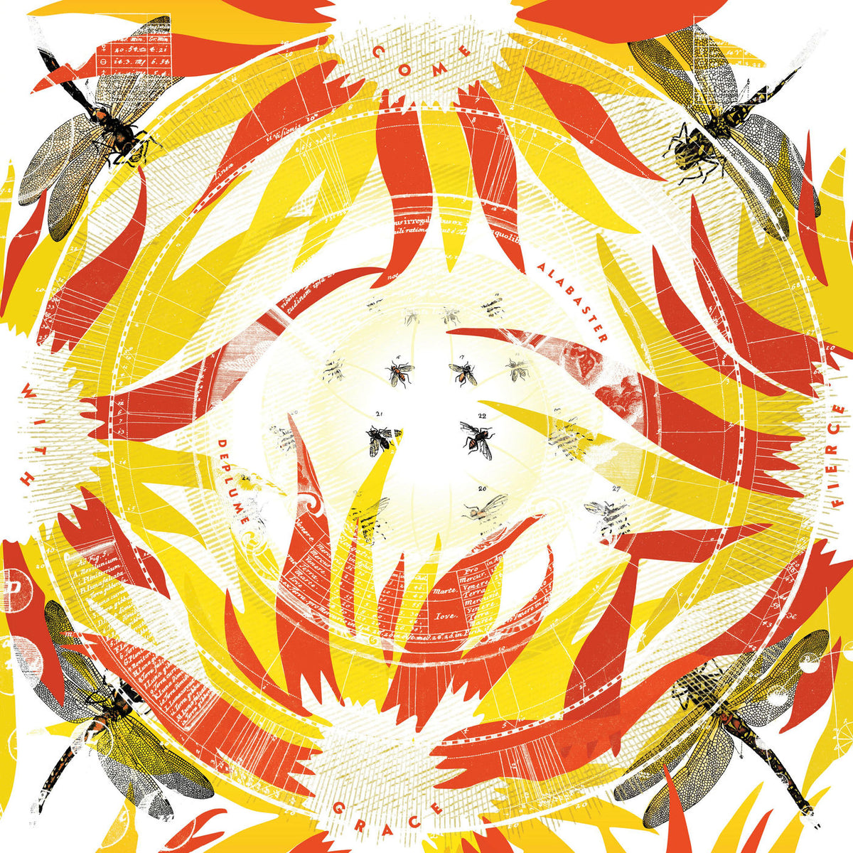 Alabaster Deplume – Come With Fierce Grace vinyl cover