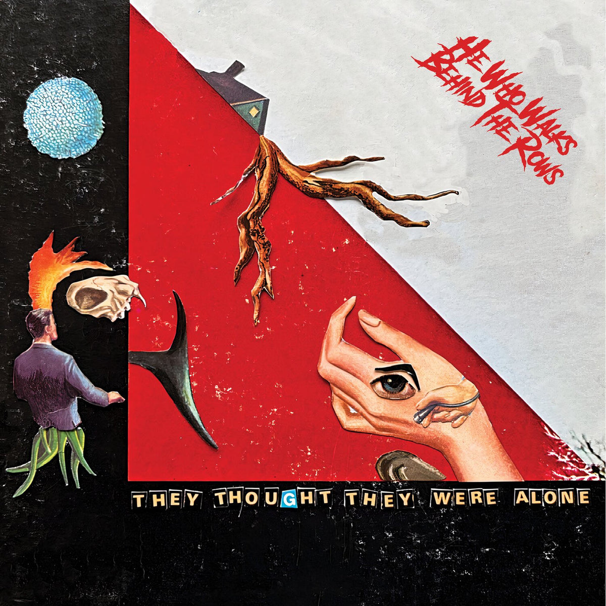 He Who Walks Behind the Rows – They Thought They Were Alone vinyl record cover