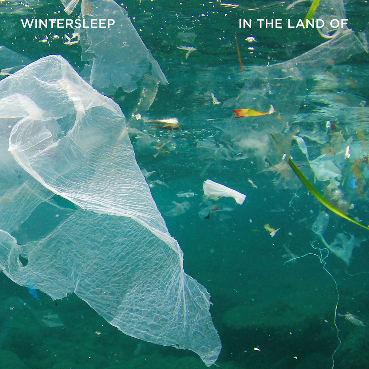 Wintersleep – In The Land Of vinyl record cover