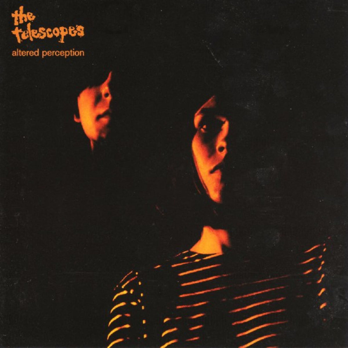 Altered Perception vinyl record cover