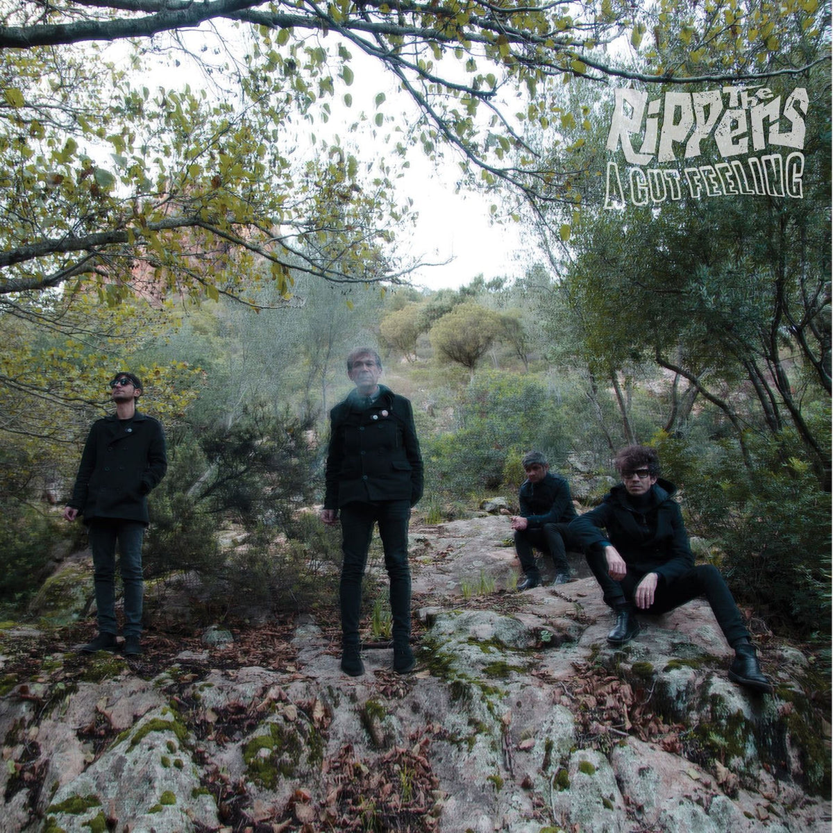 The Rippers – A Gut Feeling vinyl record cover