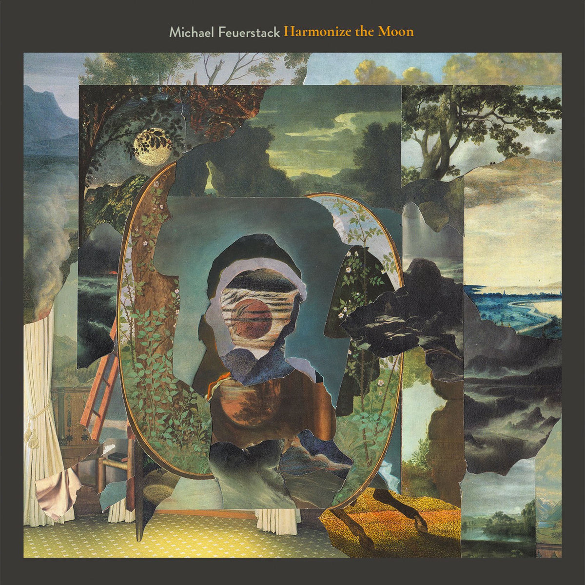 Michael Feuerstack – Harmonize the Moon vinyl cover