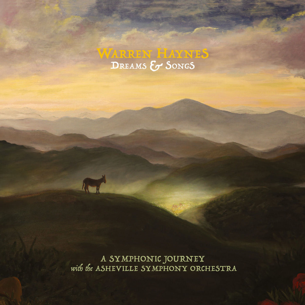 Warren Haynes – Dreams & Songs vinyl record cover