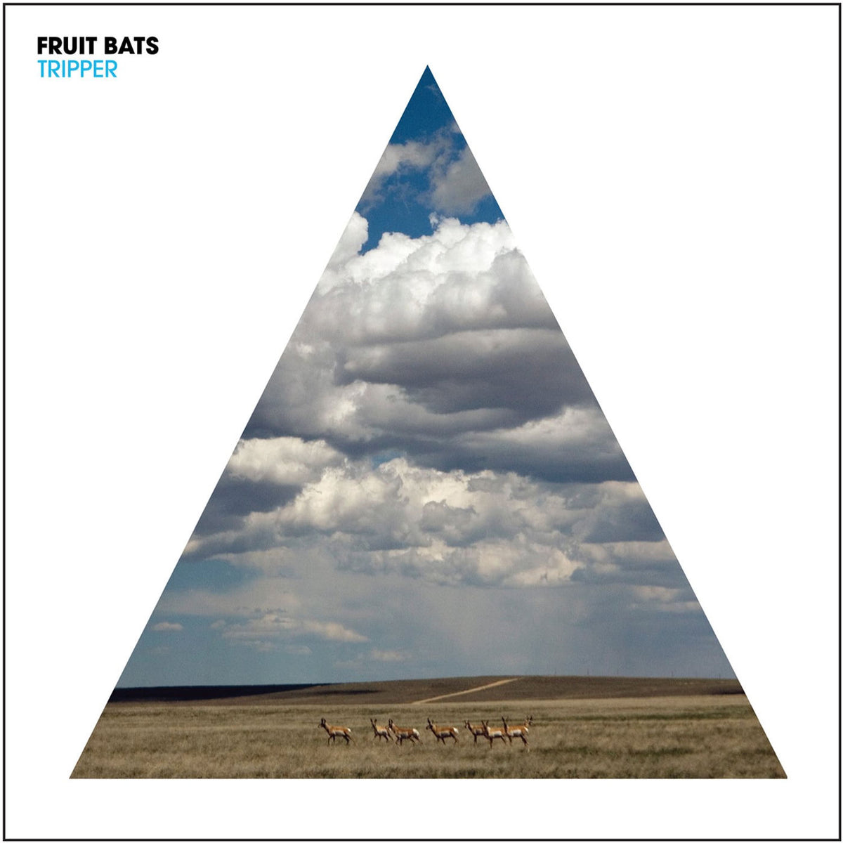 Fruit Bats – Tripper vinyl cover