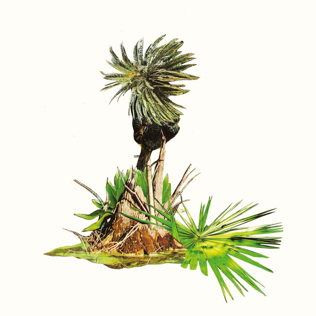 Lagoss – Musica Para Platanos vinyl record cover