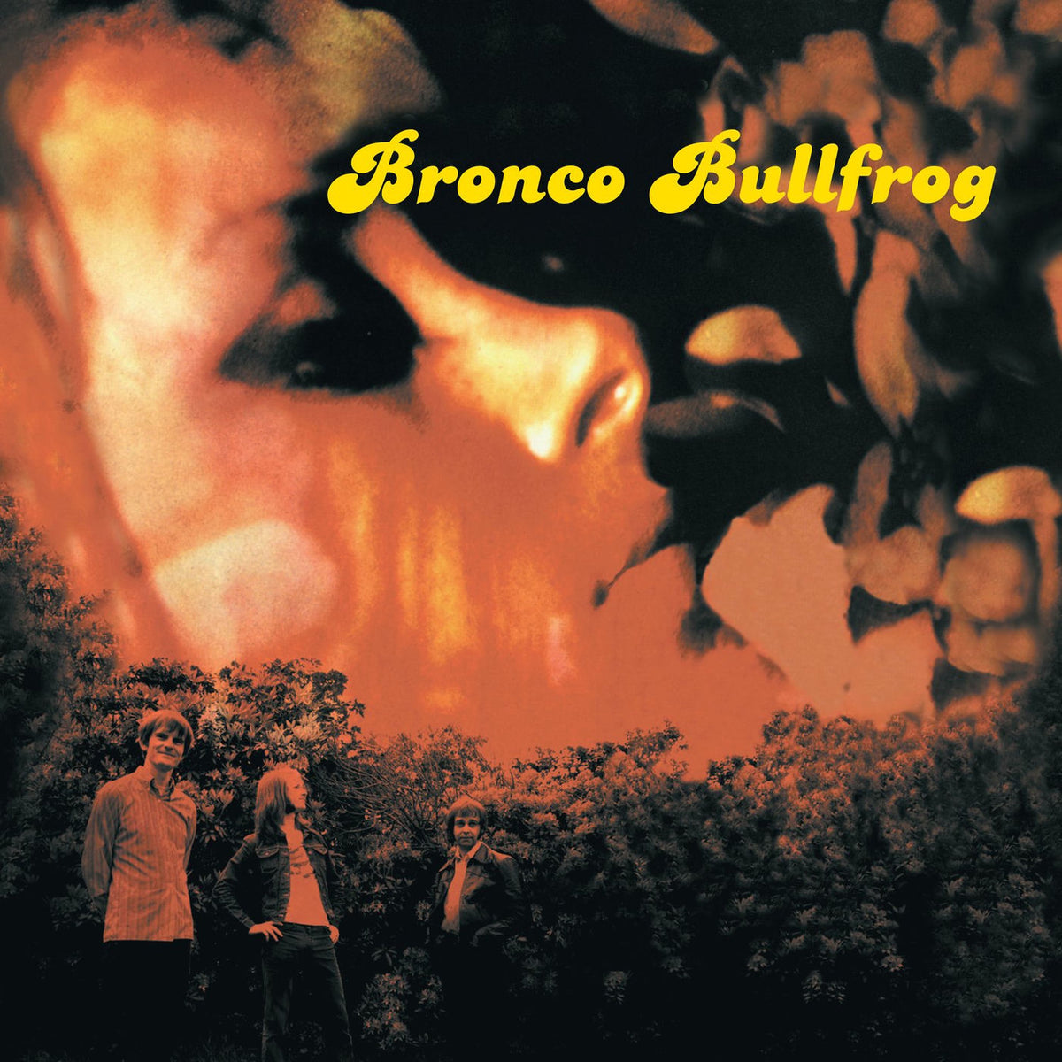 Bronco Bullfrog – Bronco Bullfrog vinyl record cover