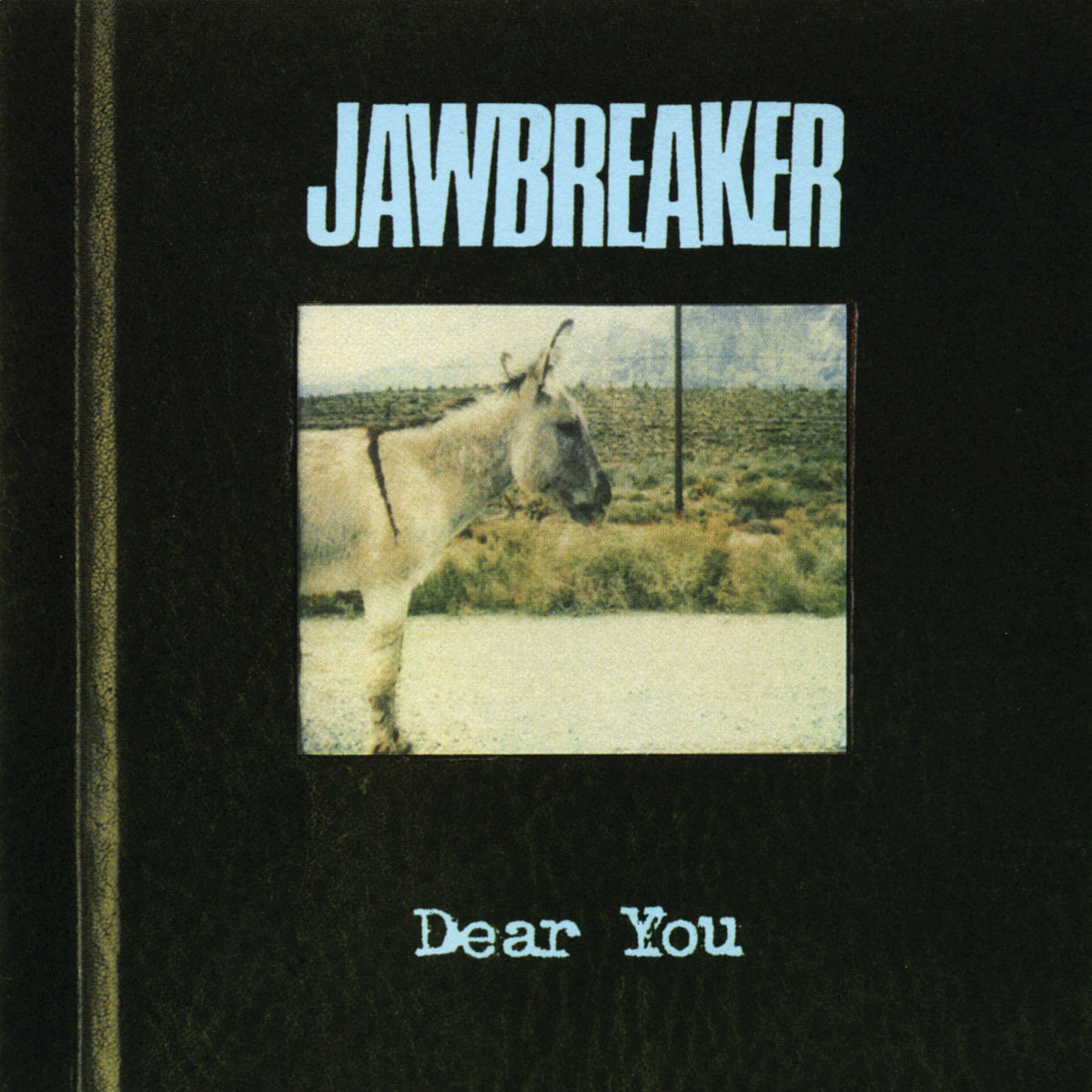 Jawbreaker – Dear You vinyl record cover