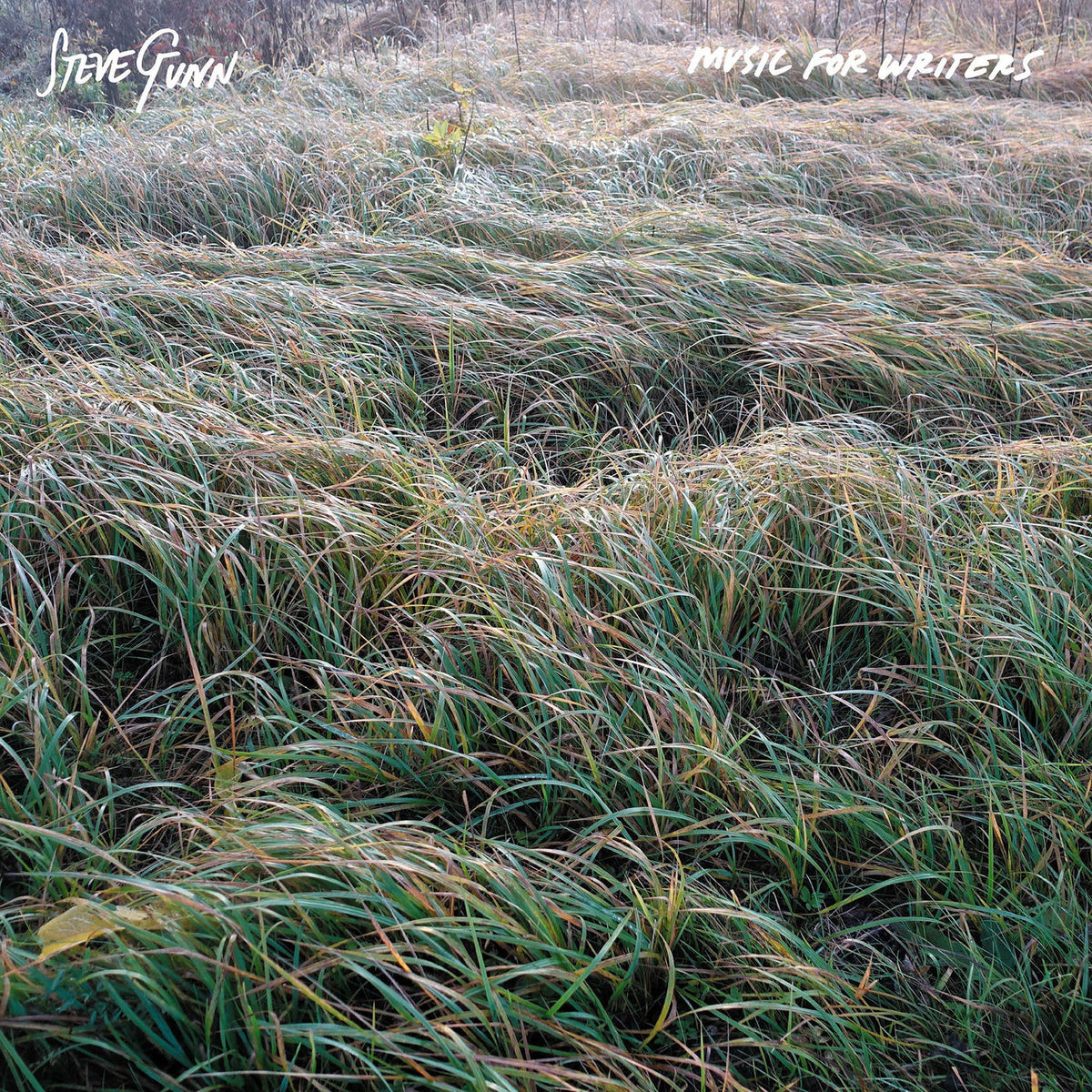 Steve Gunn – Music for Writers vinyl record cover