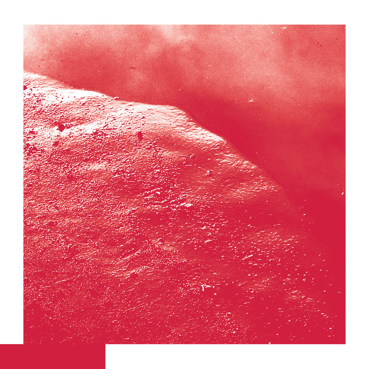 David Allred – The Cell vinyl record cover