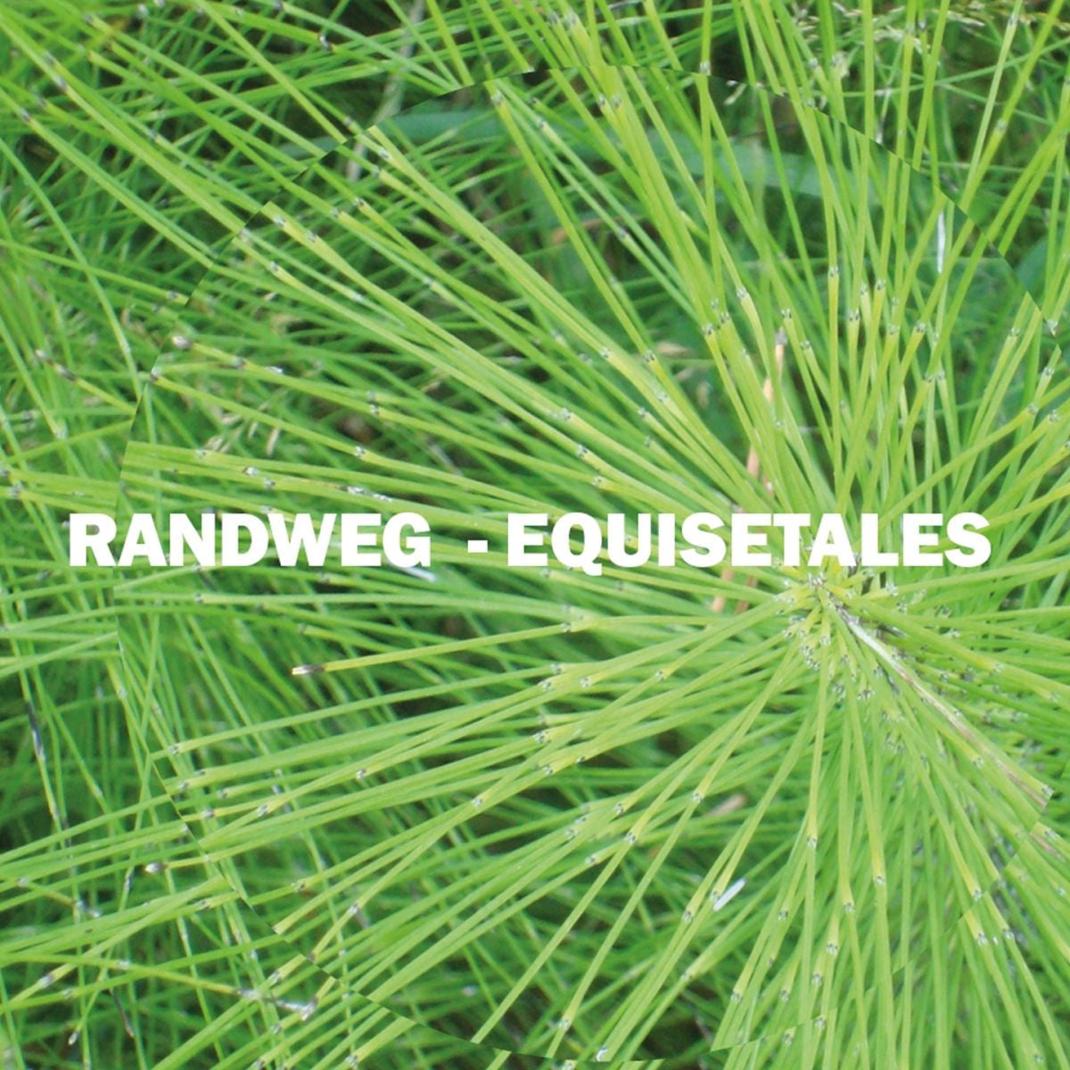 Randweg – Equisetales vinyl cover