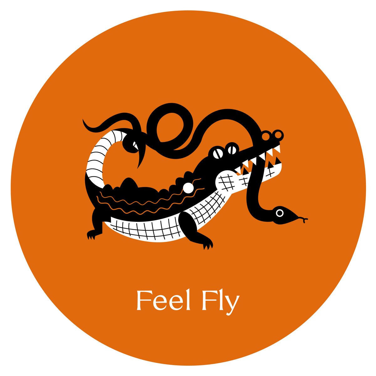 Feel Fly – Cosmo Cosmo vinyl cover