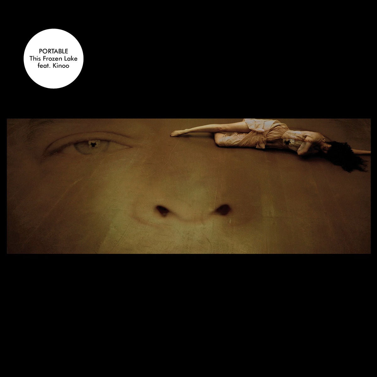 Portable – This Frozen Lake vinyl cover