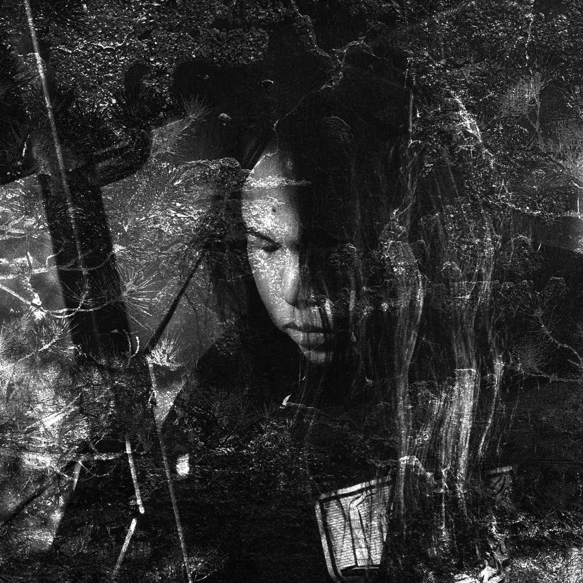 Thisquietarmy – Langue Hybride vinyl cover