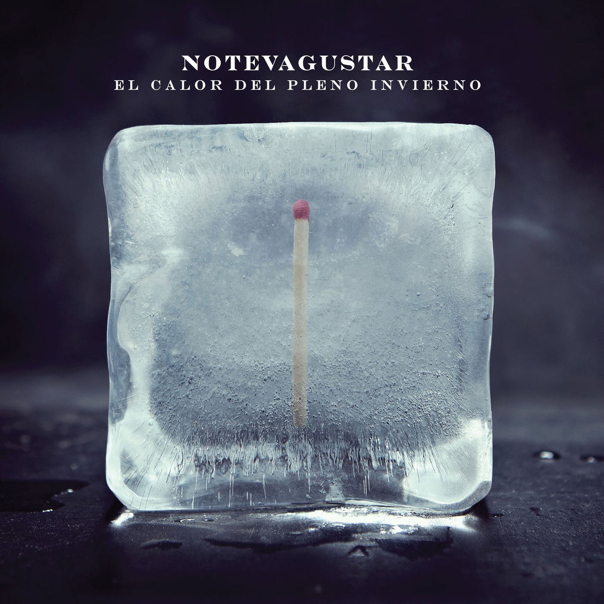 No Te Va Gustar – El Calor Del Pleno Invierno vinyl record cover