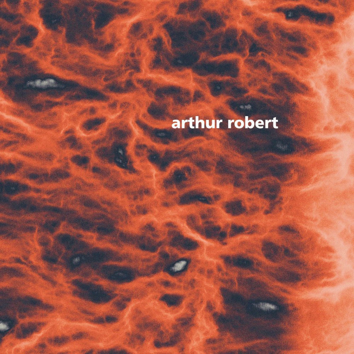 Arthur Robert – Metamorphosis Pt. 2 vinyl cover
