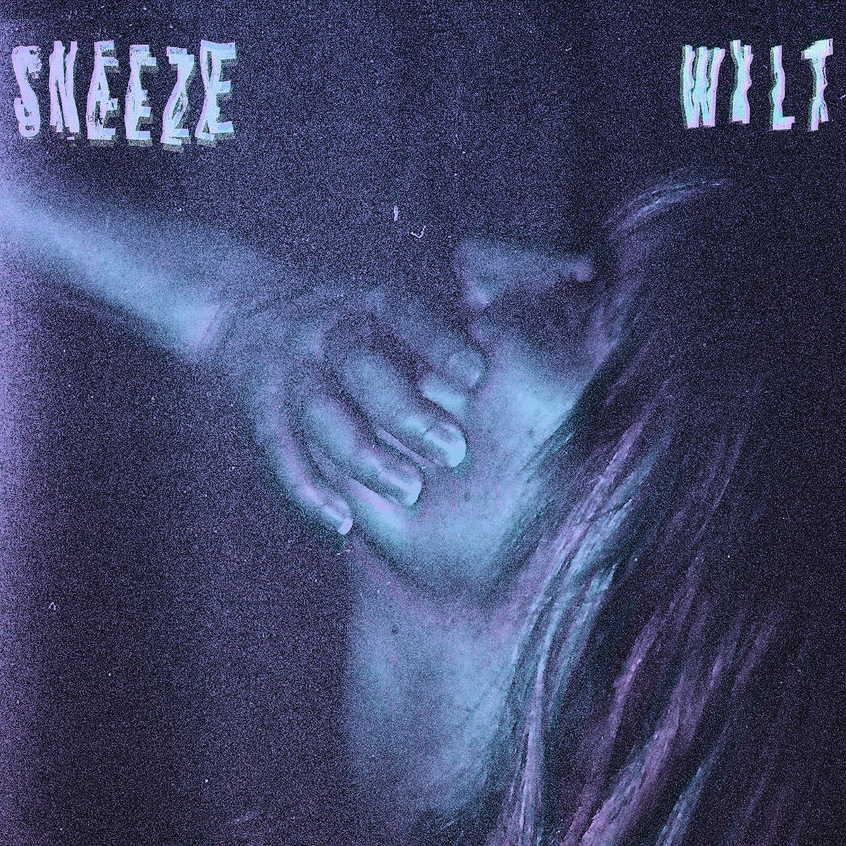 Sneeze – WILT vinyl record cover