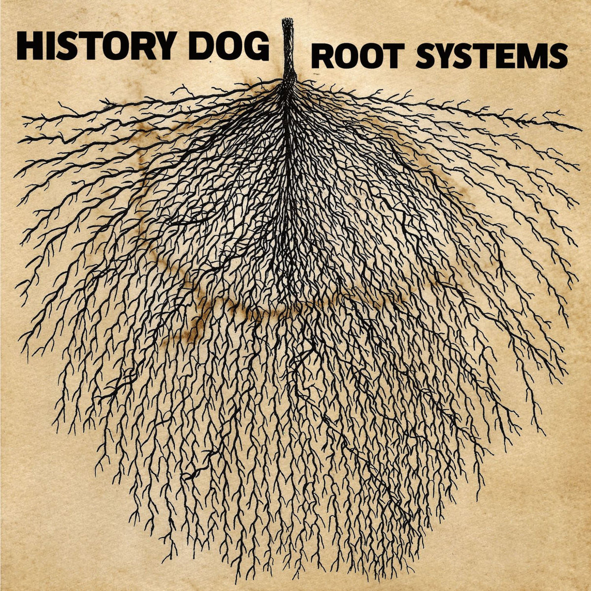 History Dog – Root Systems vinyl record cover