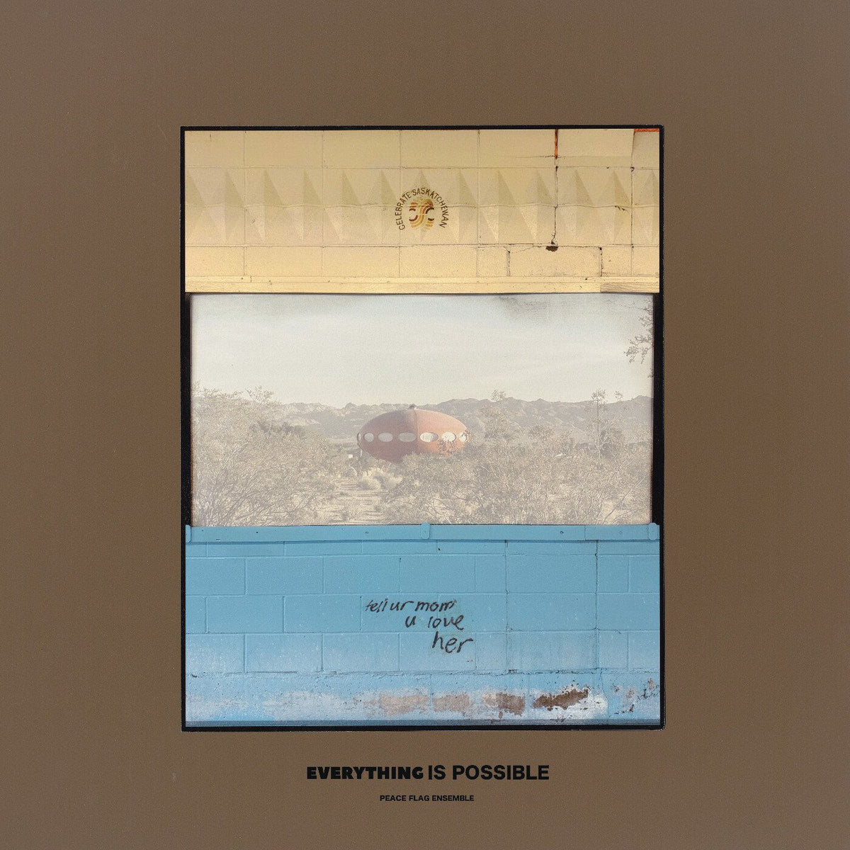 Peace Flag Ensemble – Everything Is Possible vinyl record cover