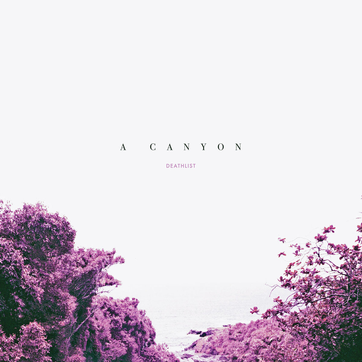 Deathlist – A Canyon vinyl record cover