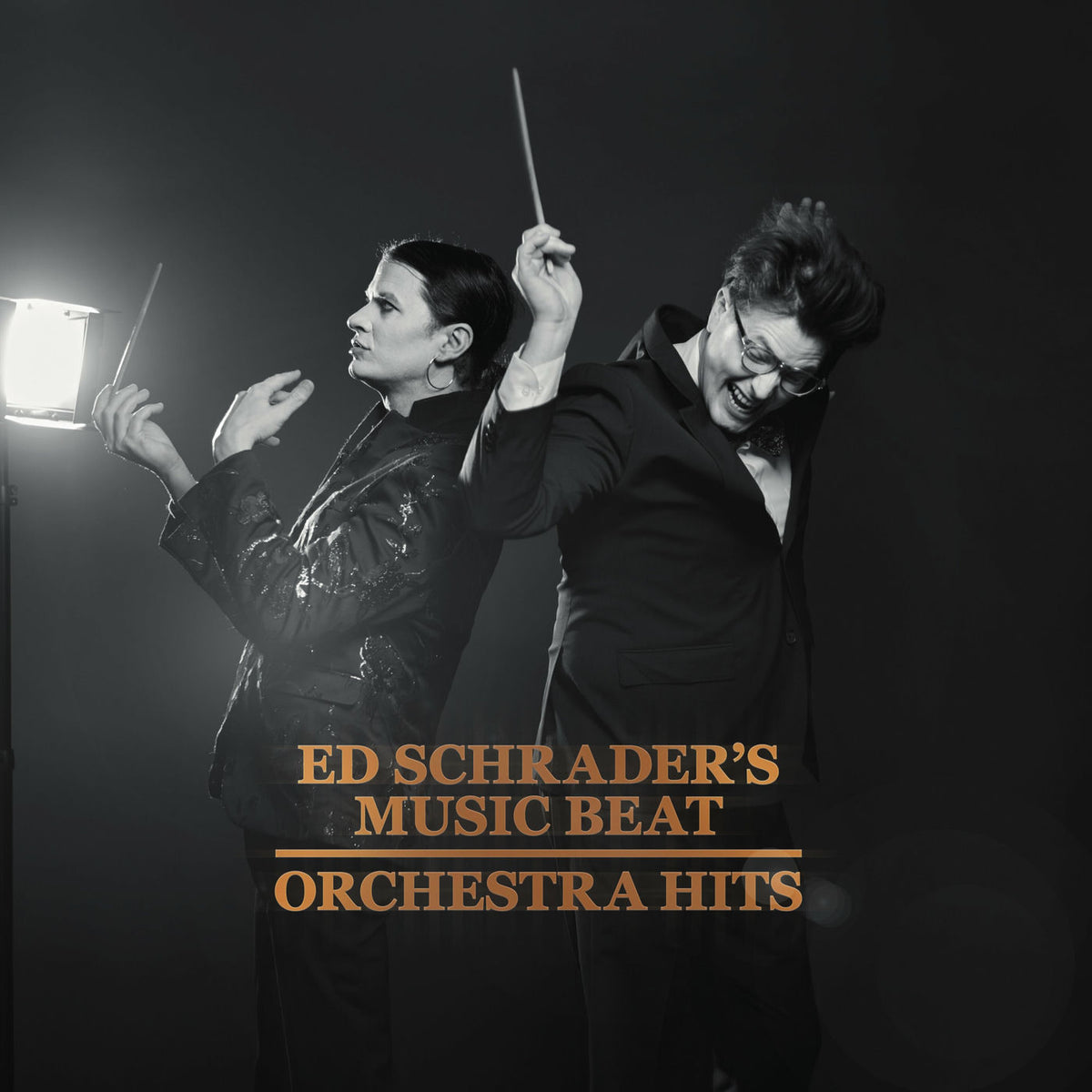 Ed Schrader's Music Beat – Orchestra Hits vinyl record cover