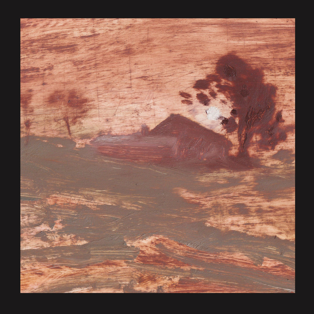 The Shits – Diet Of Worms vinyl cover