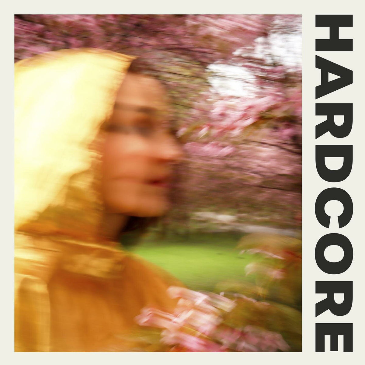 IISA – Hardcore vinyl record cover