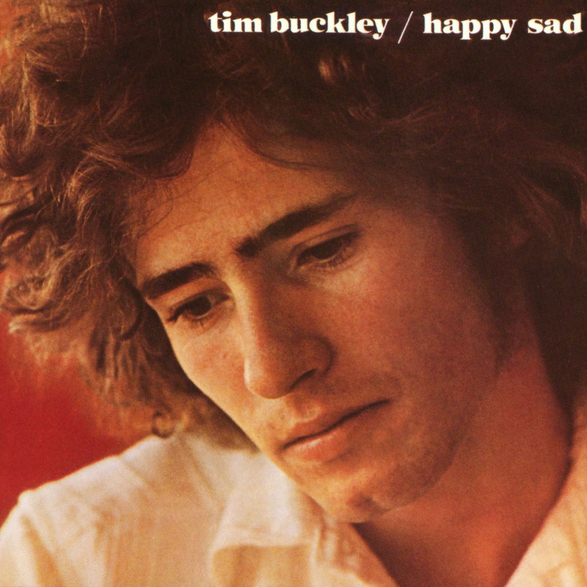 Tim Buckley – Happy Sad vinyl record cover