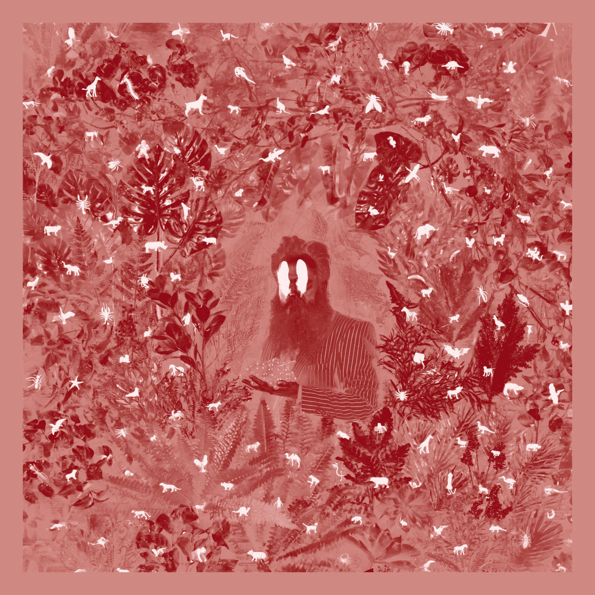 Iron & Wine – Hen's Teeth vinyl record cover