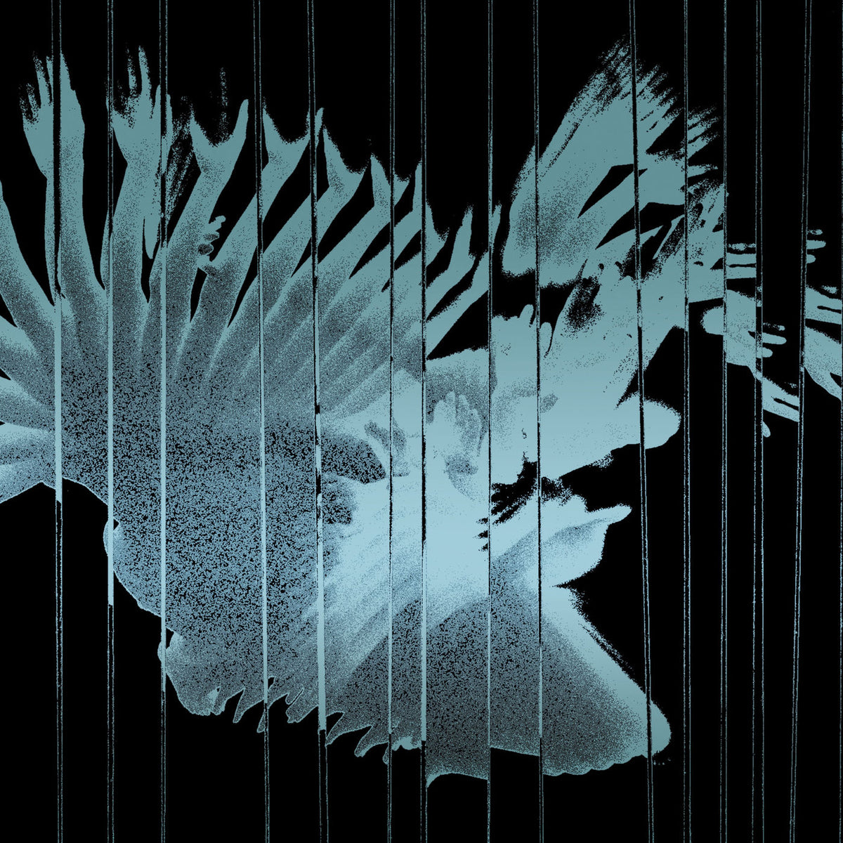 Scaler – Endlessly vinyl record cover