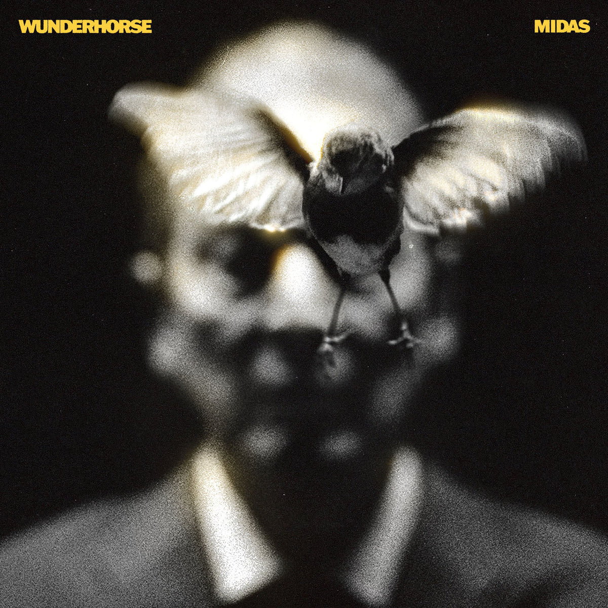 Wunderhorse – Midas vinyl record cover