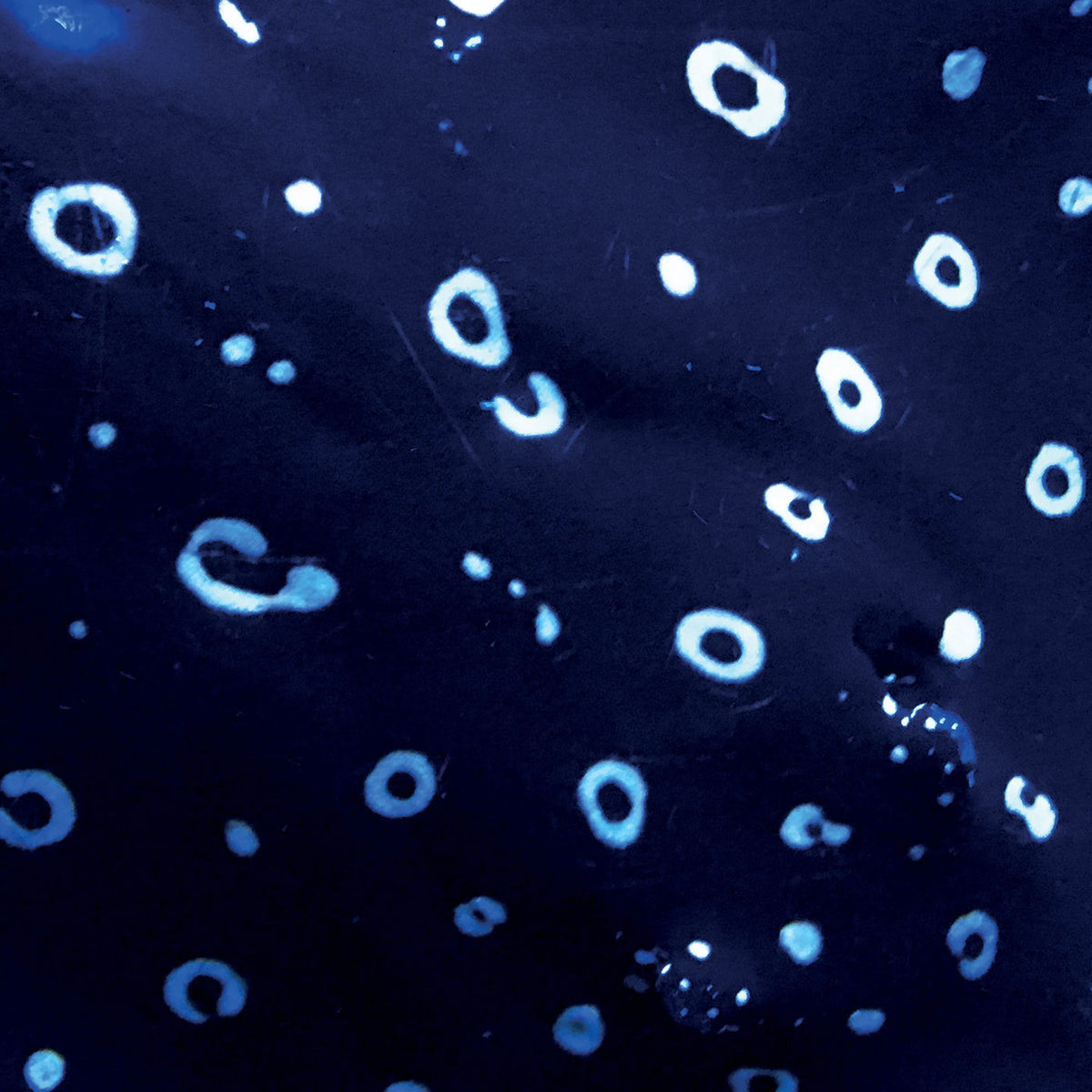 O Yama O – O Yama O vinyl record cover