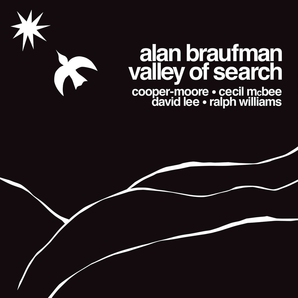 Alanbraufman – Valleyofsearch vinyl record cover