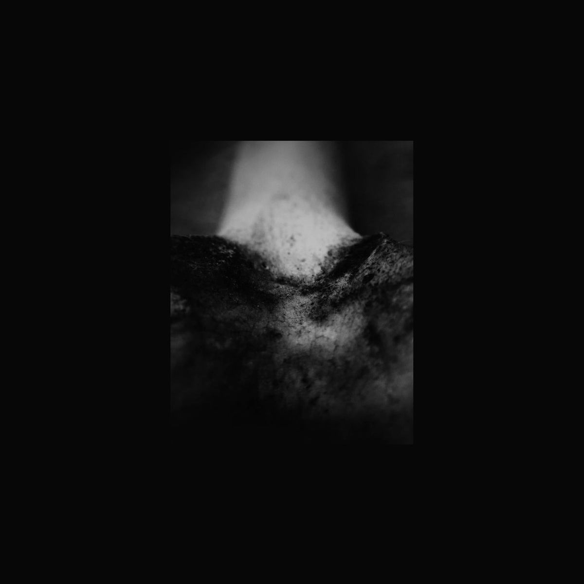 Common Eider, King Eider – A Wound of Body vinyl cover